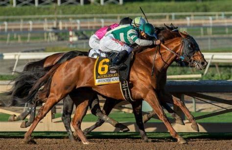 Get ready to Wager! Turf club .
